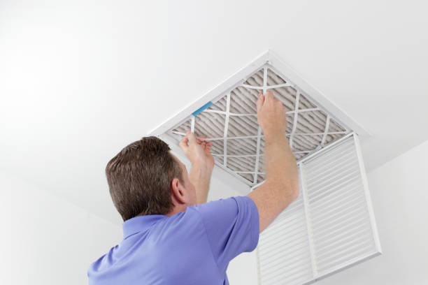 Best Mold and Mildew Removal from Ducts in Green Knoll, NJ